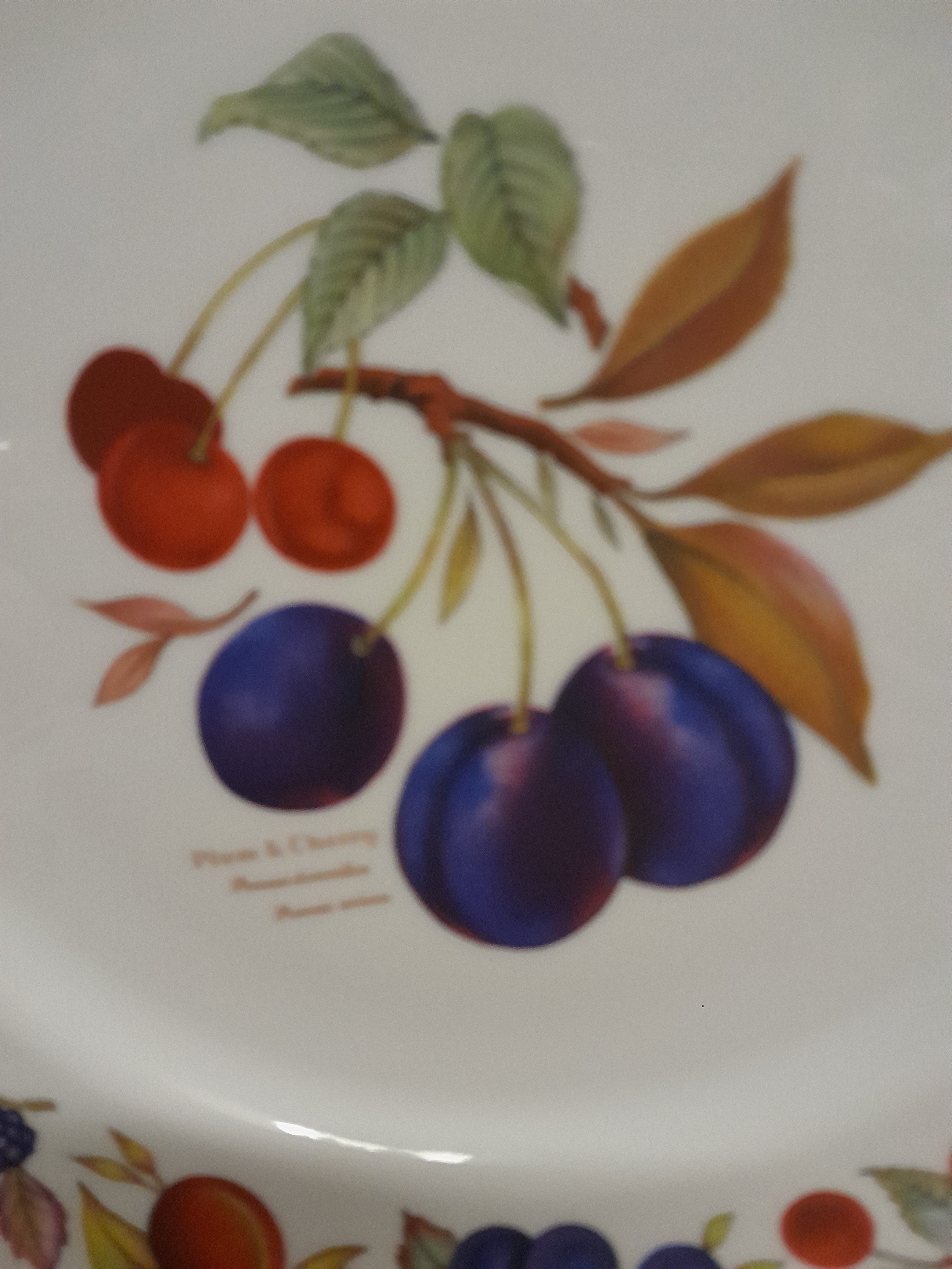 Royal Worcester Evesham Pattern plate for Leigh paints 26cm