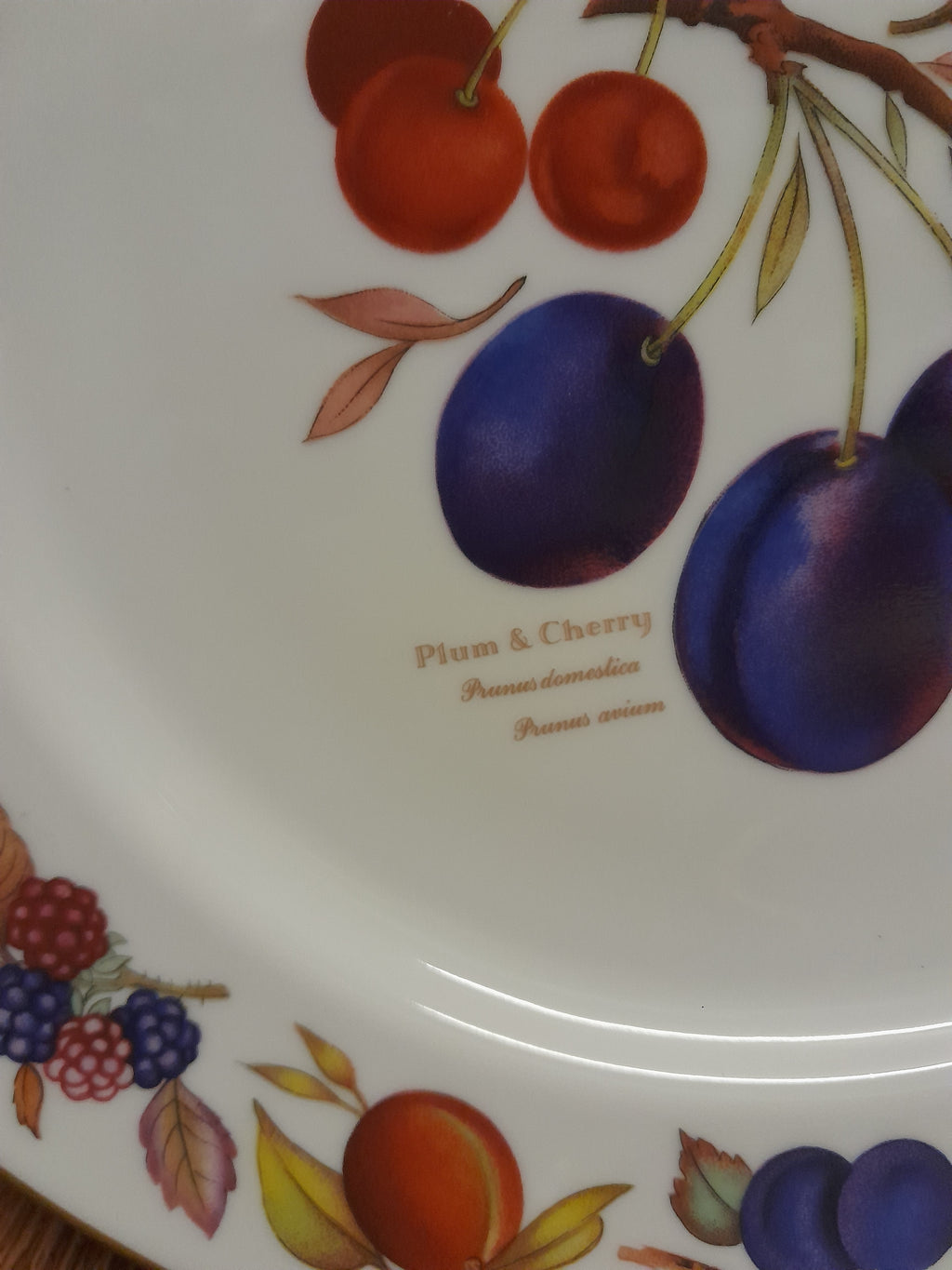 Royal Worcester Evesham Pattern plate for Leigh paints 26cm